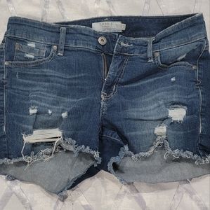 Torrid Jean Shorts